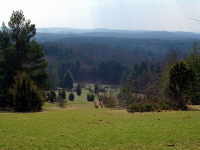 Wacholderheide am Sternberg